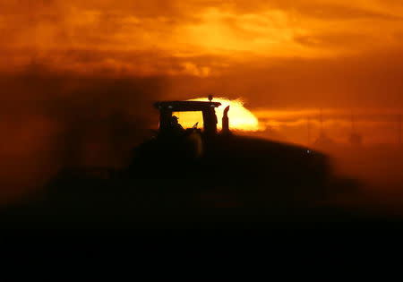 A man drives a tractor plowing a field at sunrise near Calexico, California, United States, October 8, 2016. REUTERS/Mike Blake
