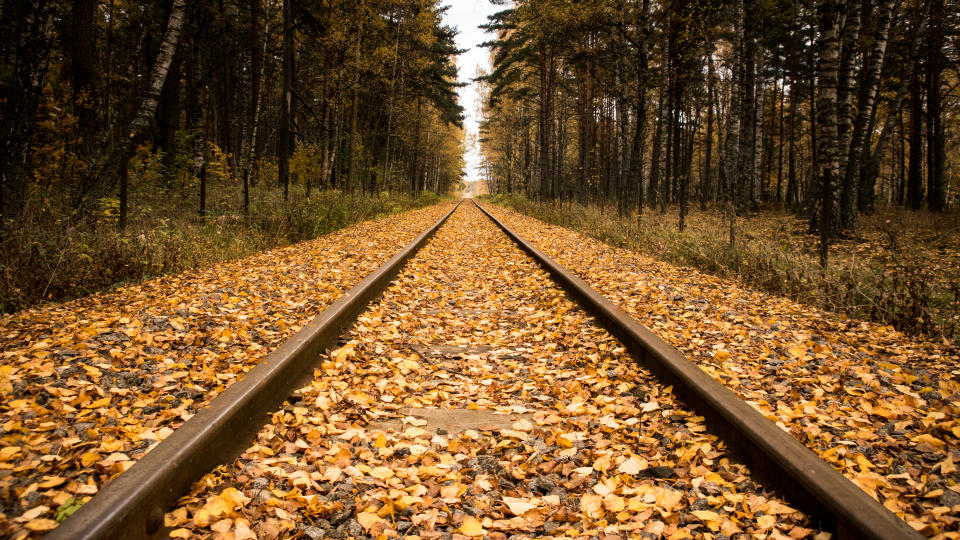 Old museum railway made for steam powered locomotives. Tracks covered with leaves in the autumn.