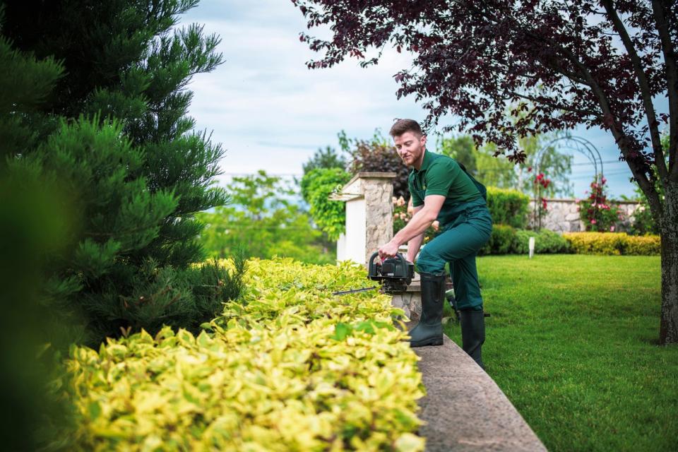 A man dressed in green uses a power tool to trim bushes. 