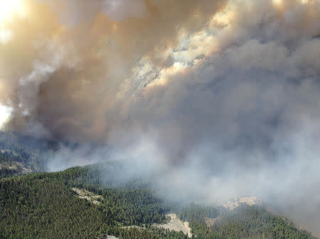 Smoke rising from the TePee Springs fire in the Payette National Forest is seen in an aerial picture taken by the McCall Smokejumpers near Riggins, Idaho August 17, 2015. REUTERS/US Forest Service/McCall Smokejumpers/Handout