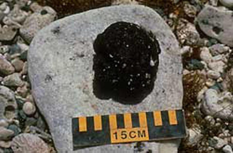 A tar ball is pictured (not the one found in Washington).