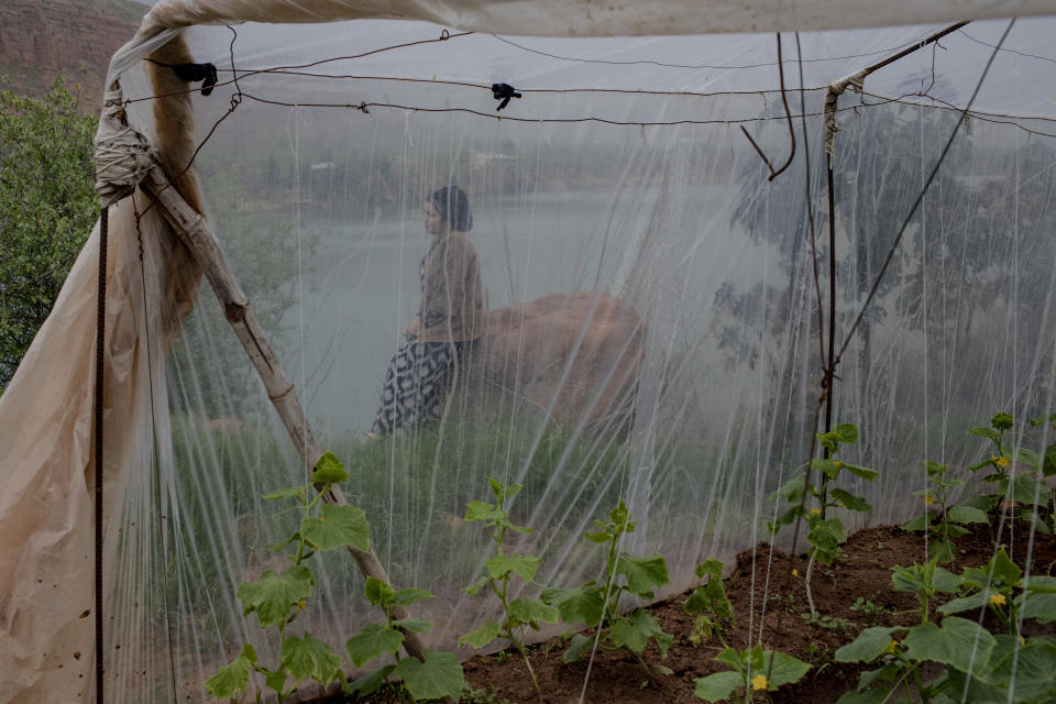 This image provided by World Press Photo is part of a series titled Battered Waters which won the World Press Photo Long Term Projects award by photographer Anush Babajanyan, VII Photo for National Geographic Society, shows An inhabitant of the village Istiqlol, Tajikistan resting beside her greenhouse on the River Vakhsh, a tributary of the Amu Darya, on 23 March 2022. She uses river water to irrigate her cucumbers. (Anush Babajanyan, VII Photo for National Geographic Society/World Press Photo via AP)