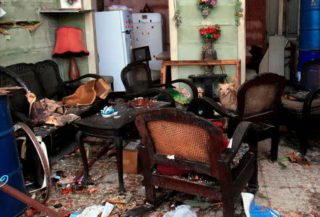 A dog looks on from a chair after a tornado ripped through a neighbourhood in Havana, Cuba January 28, 2019. REUTERS/Stringer