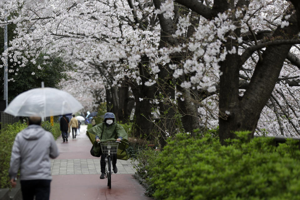 Cherry blossoms bloom over Meguro-gawa River Monday, March 23, 2020, in Tokyo. (AP Photo/Kiichiro Sato)