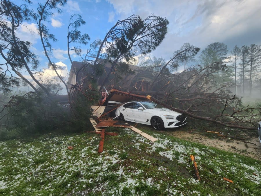 Storm damage (Chatham McKinny)