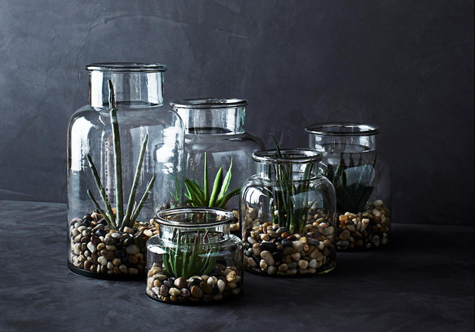 Terrariums : découvrez ces mini-serres ultra déco !