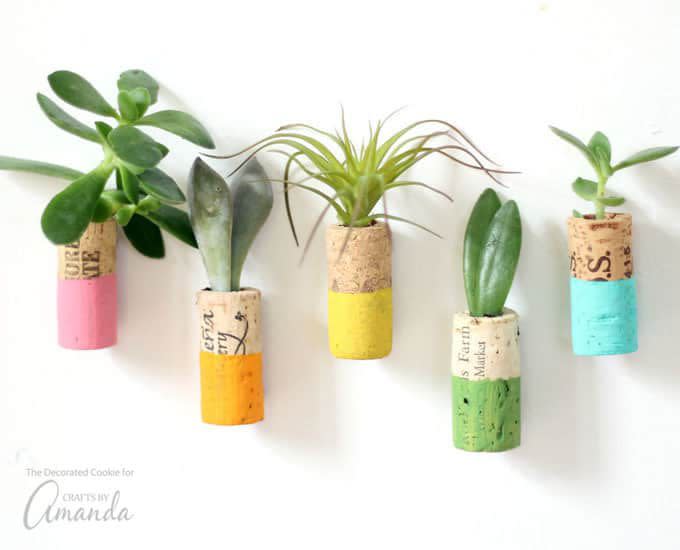 Wine Cork Succulent Magnets