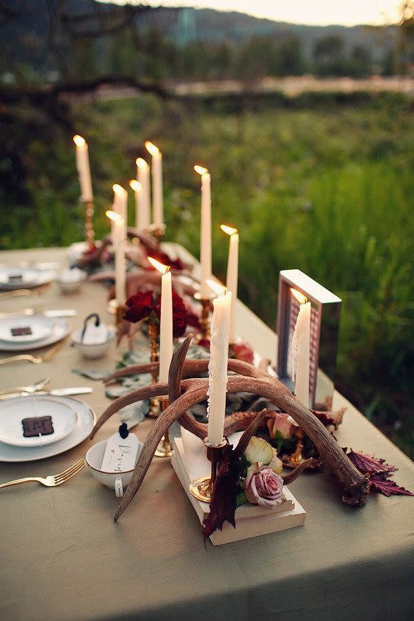 Antlers And Roses