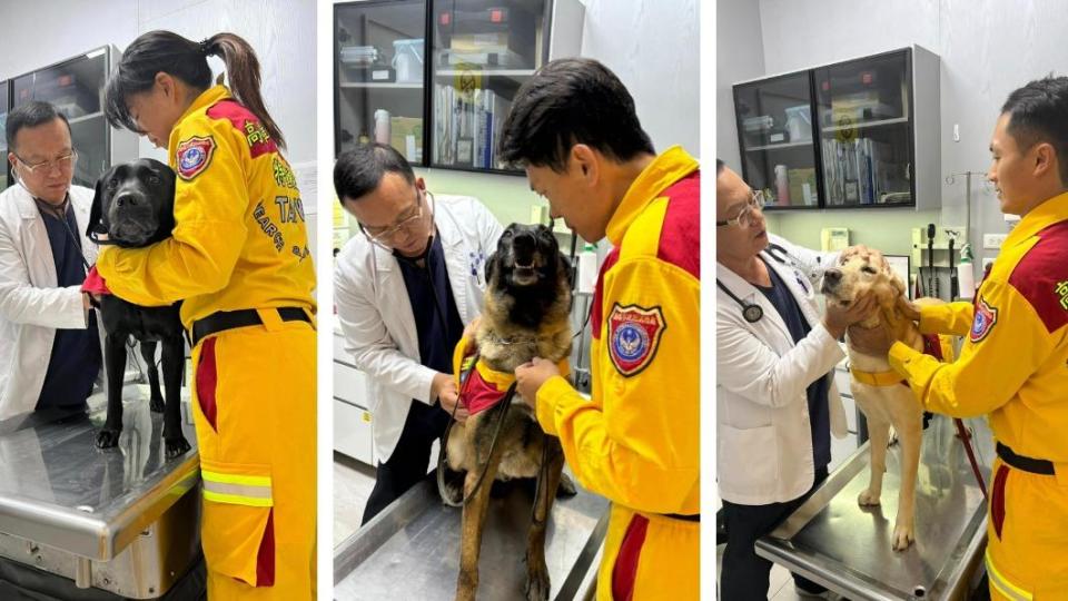 搜救犬們來到動物醫院進行健康檢查。（圖／高雄市政府消防局特搜中隊搜救犬隊臉書）
