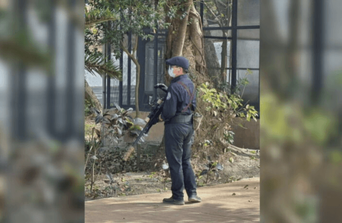 壽山動物園的保全人員先前持空氣長槍戒備，避免人猴衝突發生，目前園方已改成短槍，並放在包包內。（簡煥宗提供）