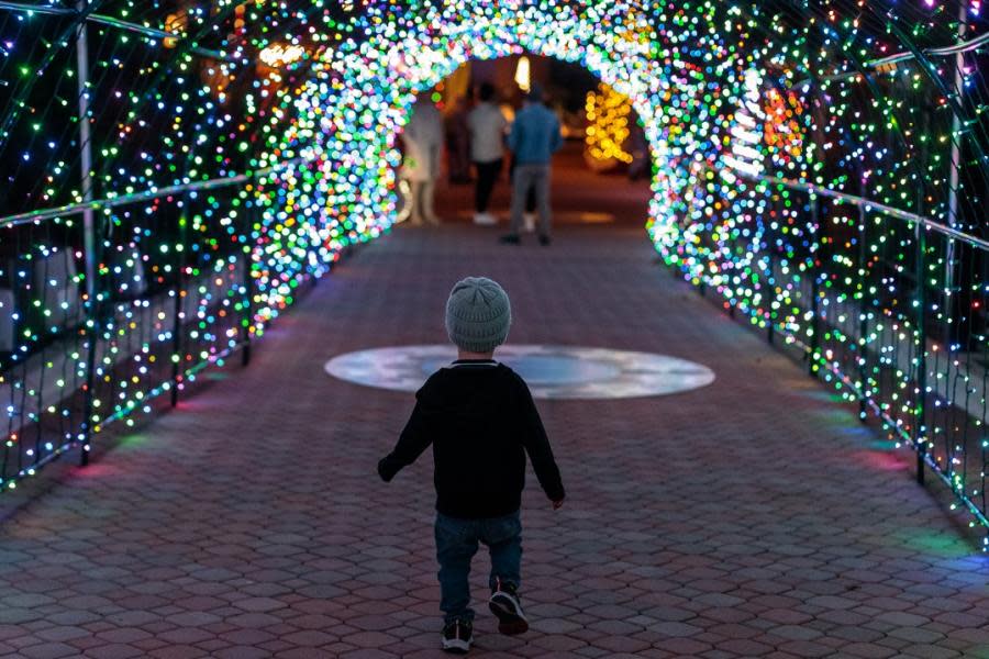 Luces y terraza: disfruta un espectáculo de luces navideñas en San Diego