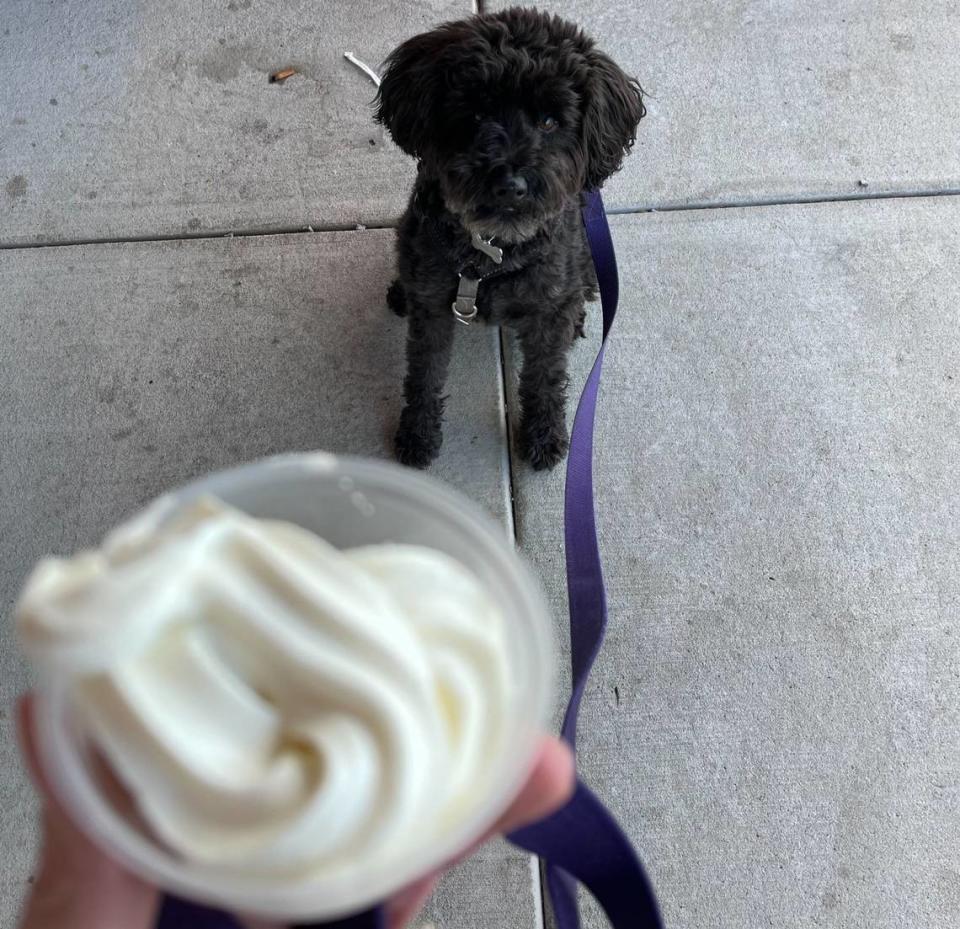 Cheat’s Cheesesteaks offers pup cups.