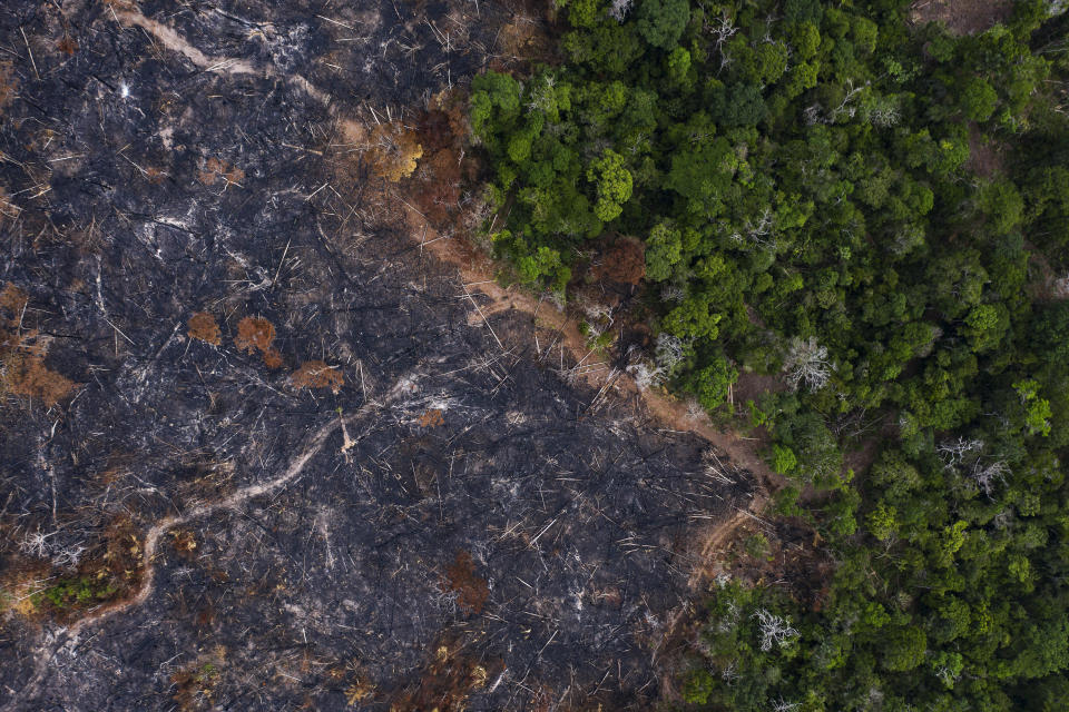A burned area of the Amazon rainforest in Prainha in the Brazilian state of Para on Nov. 23, 2019. After a rash of fires linked to increased deforestation in 2019, destruction has continued in the early months of 2020.&nbsp; (Photo: AP Photo/Leo Correa)