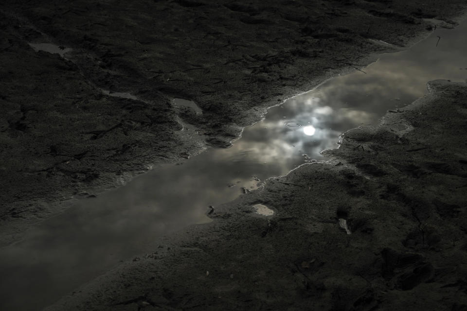 FILE - Water is seen in a dry pond near Villars-les-Dombes, in the Lyon's countryside, central France, on Tuesday, Feb. 28, 2023. French President Emmanuel Macron presents Thursday March 30, 2023 a plan for saving France's water after exceptional winter drought, February wildfires and violence between protesters and police over an agricultural reservoir. (AP Photo/Laurent Cipriani, File)