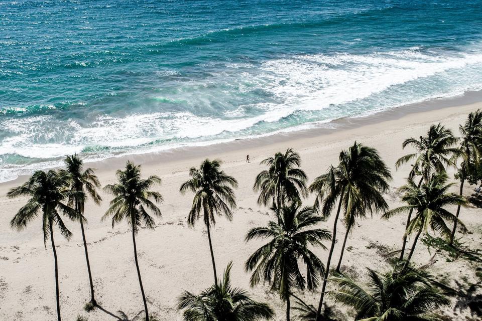 Aerial view of a beach in San Pancho