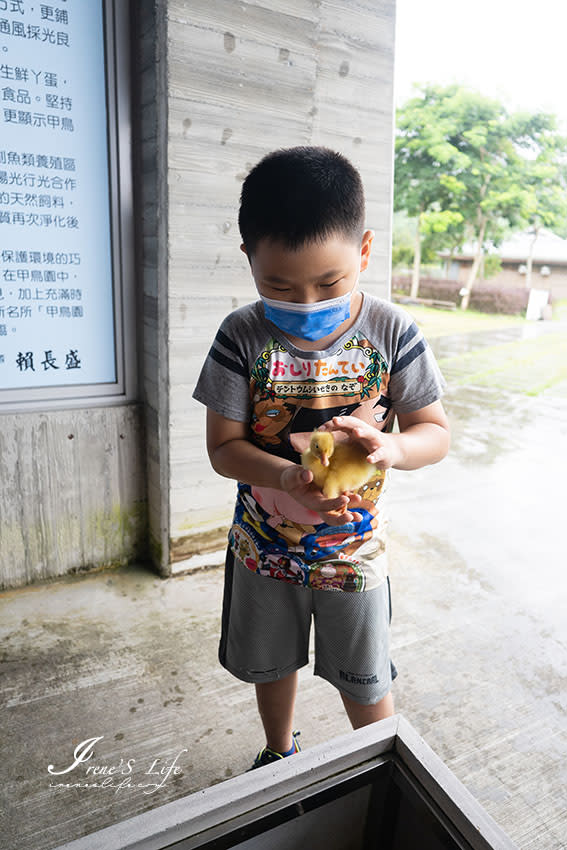 宜蘭礁溪｜甲鳥園休閒農場