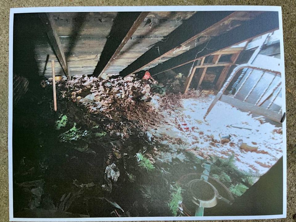 One of about 80 photos taken by Scott Tyler, the city of Belleville’s director of health, housing and building, inside a derelict building at 1013 W. Main St. that is slated for demolition.