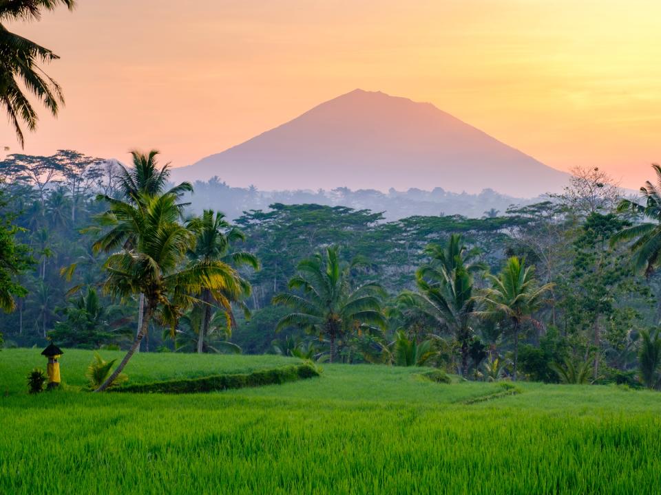 Ubud, Indonesia.