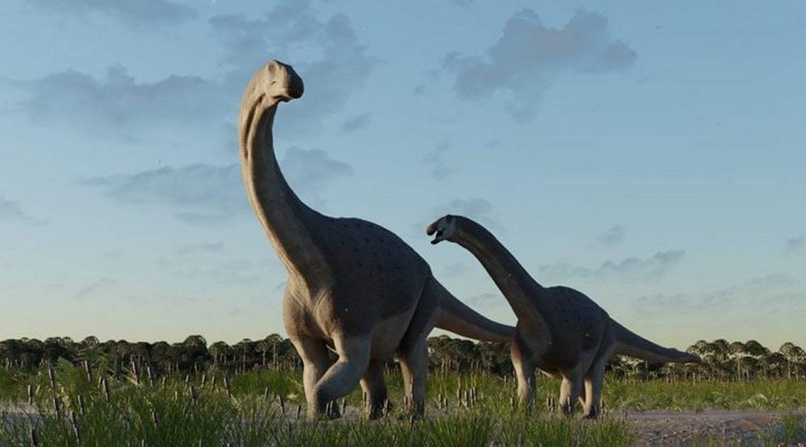 The titanosaurs became smaller and less abundant near the end of their geological age, researchers said.