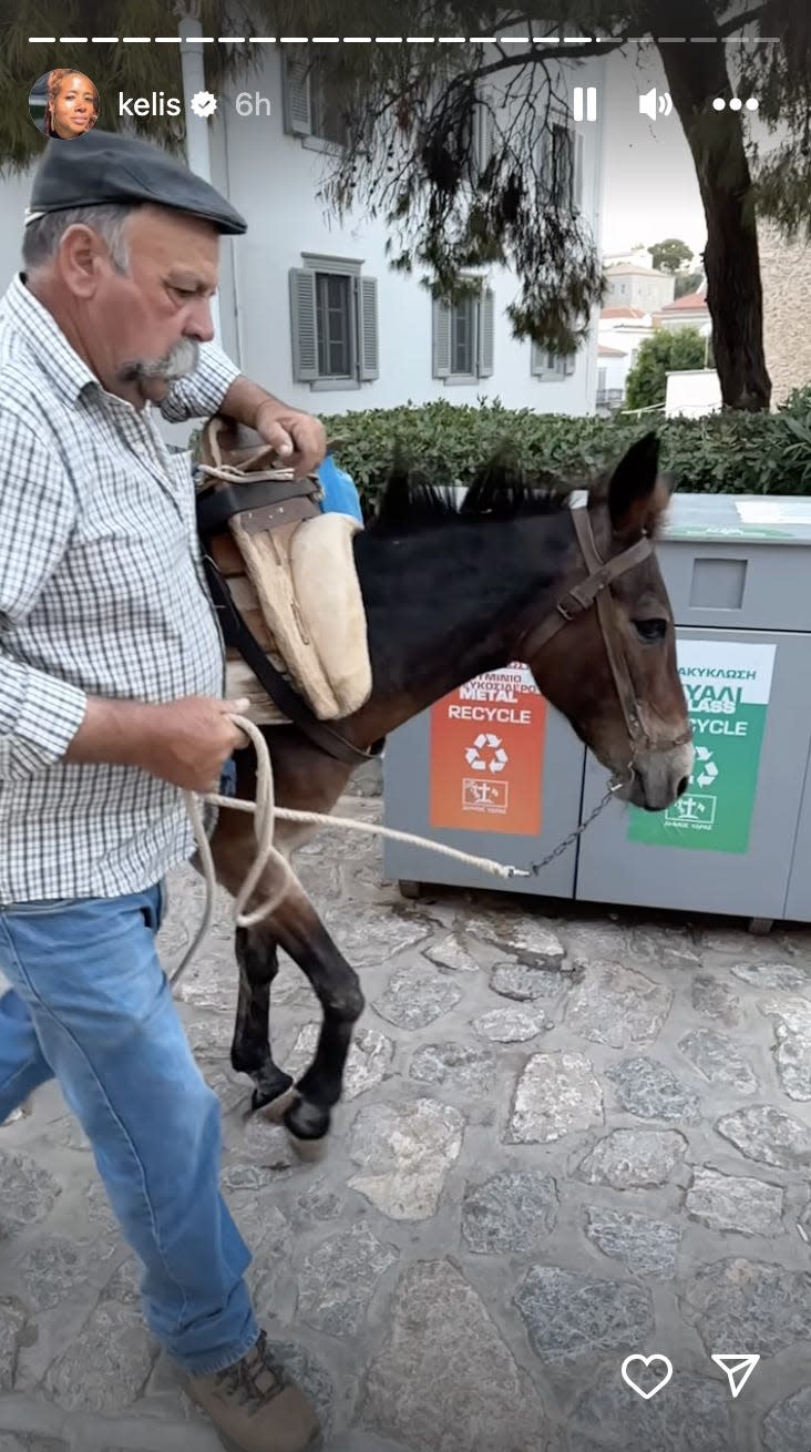 A man next to a donkey in Greece.