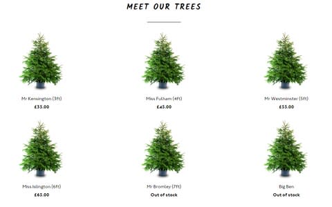 The trees at London Christmas Tree Rental are already selling out - Credit: London Christmas Tree Rental