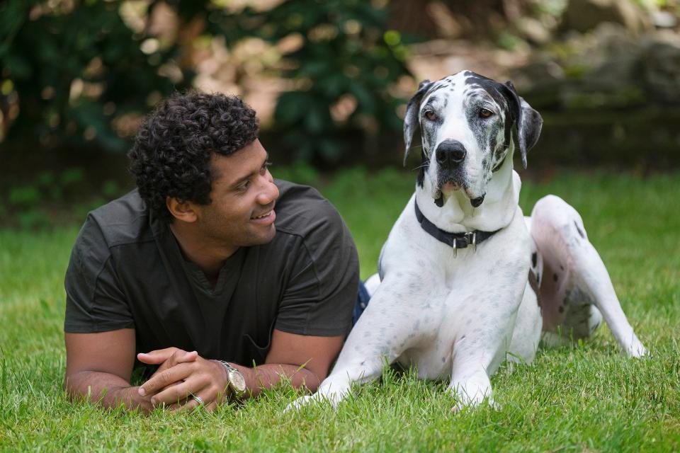 The Seattle Seahawks quarterback has joined the Banfield Foundation's Safer Together initiative in an effort to provide more resources to pet owners in abusive situations