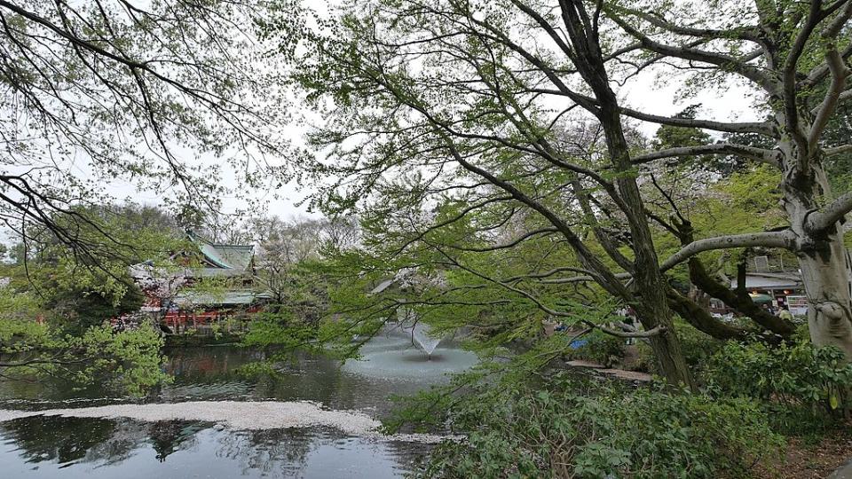 井之頭公園 (Photo by運転太郎, License: CC BY 3.0, Wikimedia Commons提供, 圖片來源web.archive.org/web/20161101212800/http://www.panoramio.com/photo/118439127)