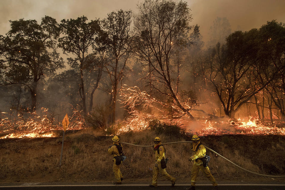 <p>Firefighters battle a wildfire as it threatens to jump a street near Oroville, Calif., on Saturday, July 8, 2017. Evening winds drove the fire through several neighborhoods leveling homes in its path. (AP Photo/Noah Berger) </p>