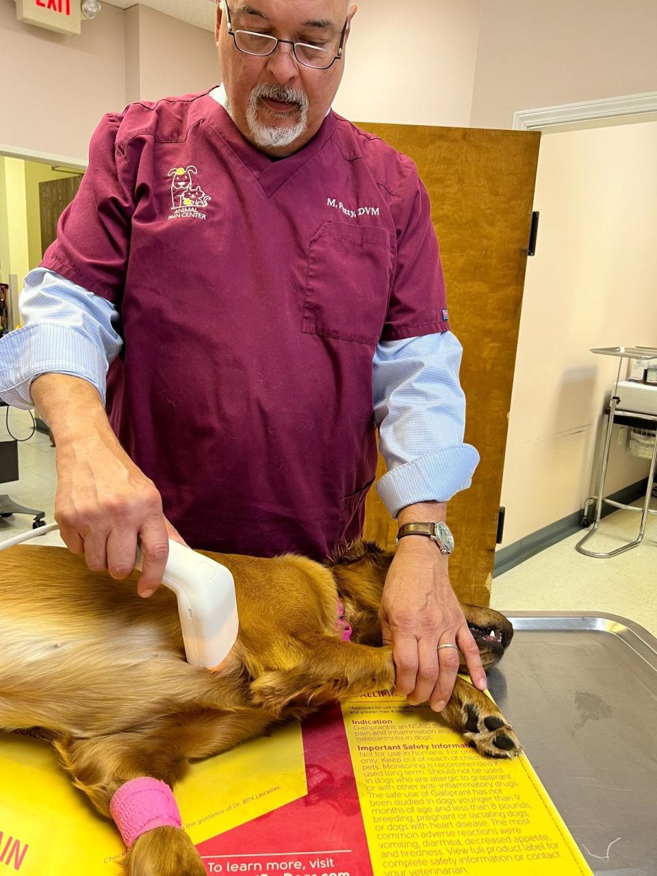 Dr. Mike Petty, a member of the Global Pain Council of the World Small Animal Veterinary Association, demonstrates a new non-invasive test to diagnose skin cancers in dogs at the Veterinary Meeting & Expo.