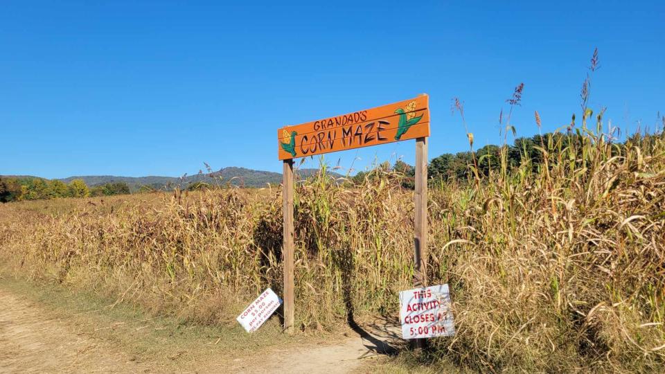 Grandad's Apples is located at 2951 Chimney Rock Road and features a wide variety of pumpkins and also a corn maze.