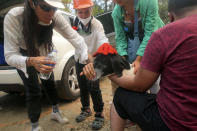 Turkish volunteers give water a dog near a wildfire in Turgut village, near tourist resort of Marmaris, Mugla, Turkey, Wednesday, Aug. 4, 2021. As Turkish fire crews pressed ahead Tuesday with their weeklong battle against blazes tearing through forests and villages on the country's southern coast, President Recep Tayyip Erdogan's government faced increased criticism over its apparent poor response and inadequate preparedness for large-scale wildfires.(AP Photo/Emre Tazegul)