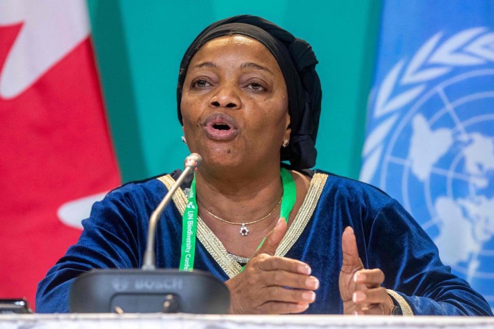Eve Bazaiba holds a press conference during the UN Biodiversity Conference (AFP/Getty)