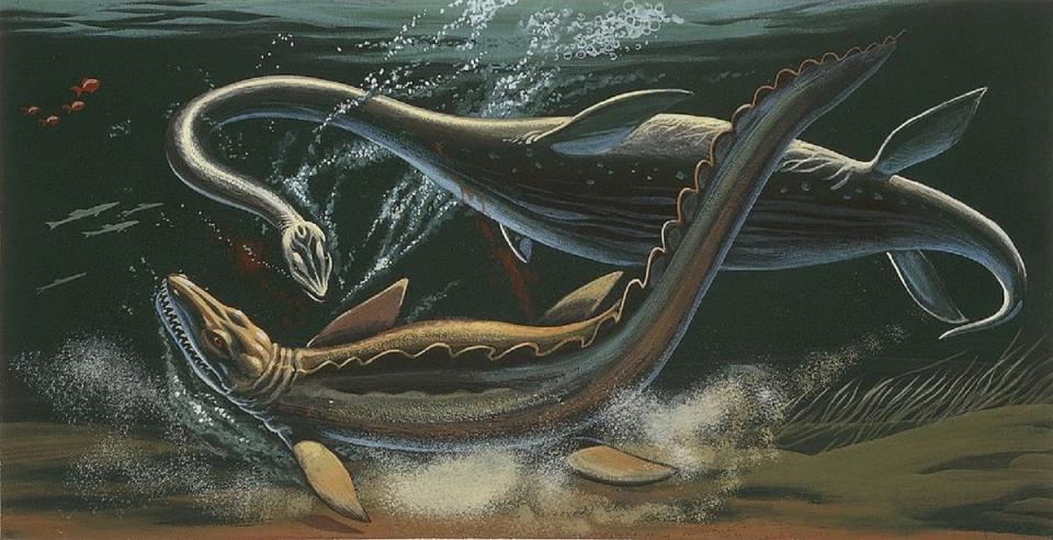 Prehistoric predators fighting underwater. Illustration.