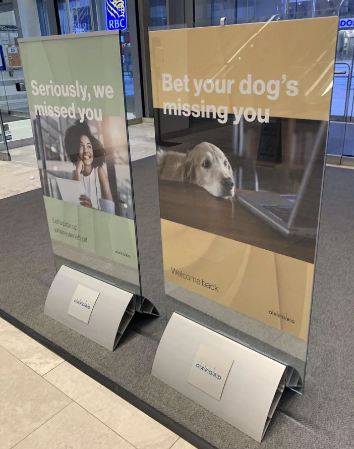 One sign says "Seriously, we missed you" and the other says "Bet your dog's missing you" with a sad dog looking at a laptop