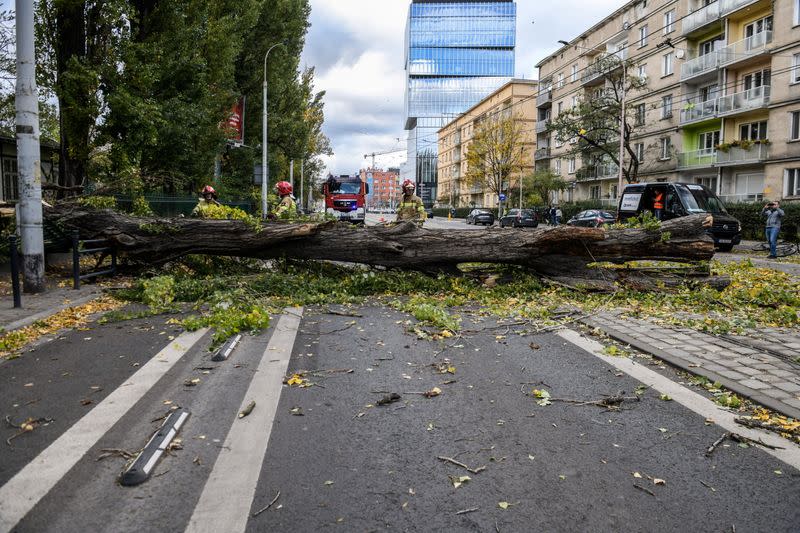 Firefighters remove a fallen tree after very strong winds in Wroclaw