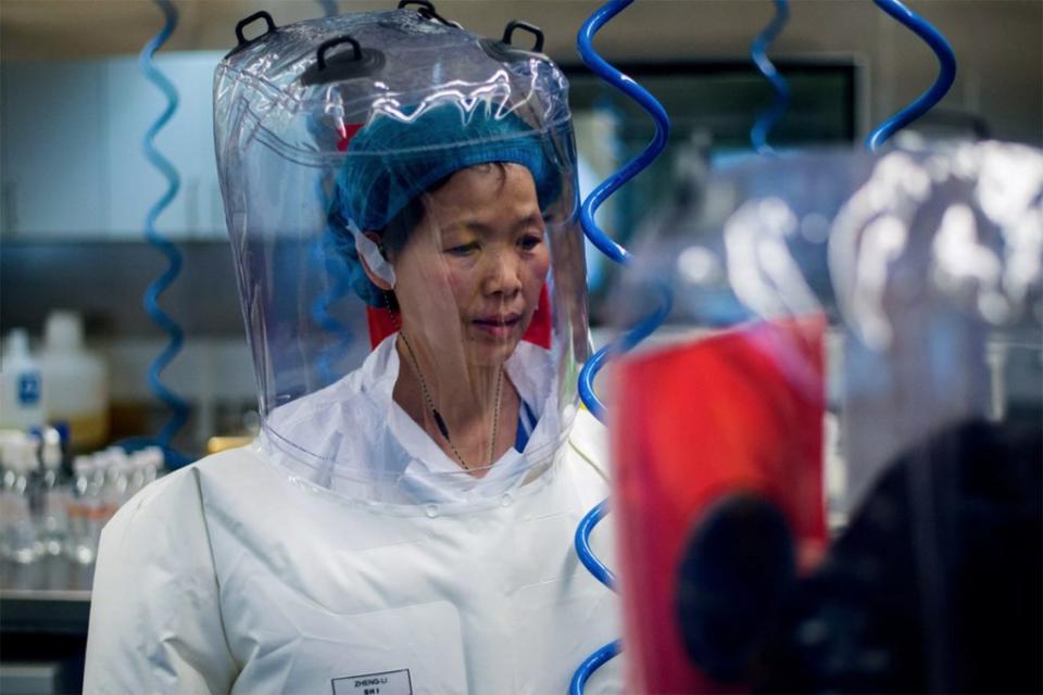 La viróloga china Shi Zhengli, en el interior del laboratorio P4 en Wuhan, capital de la provincia de Hubei, en China, en febrero de 2017. Foto: Johannes Eisele/AFP/Getty