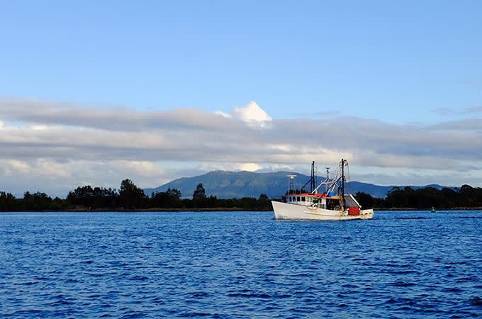 A fishing boat returning with the early morning catch. Photo: Simon Ceglinski