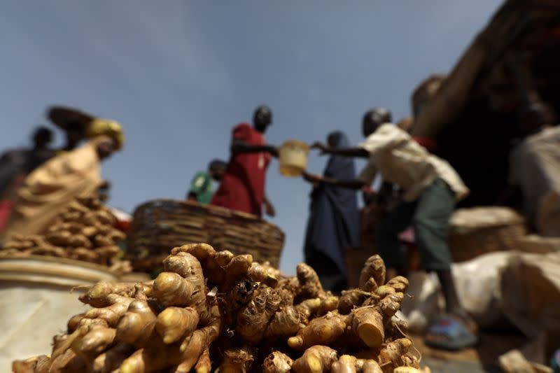 Freshly washed ginger plant bulbs are seen at a market in Kaduna