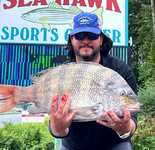 Brian Summerlin, of Princess Anne, set a new Maryland state record with his 16.6 pound sheepshead fish catch.