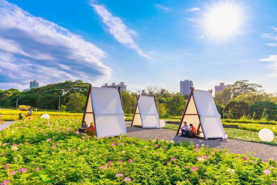 古亭河濱花海這次還多了帳篷，讓遊客邊賞花邊休憩好好放鬆一下。   圖：台北市政府工務局水利工程處／提供