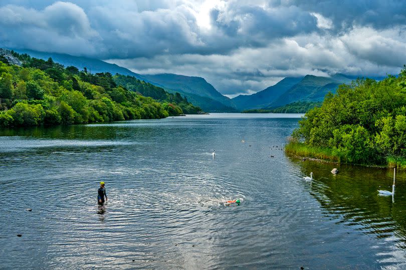 Open water swimmers in Llyn Padarn, Snowdonia