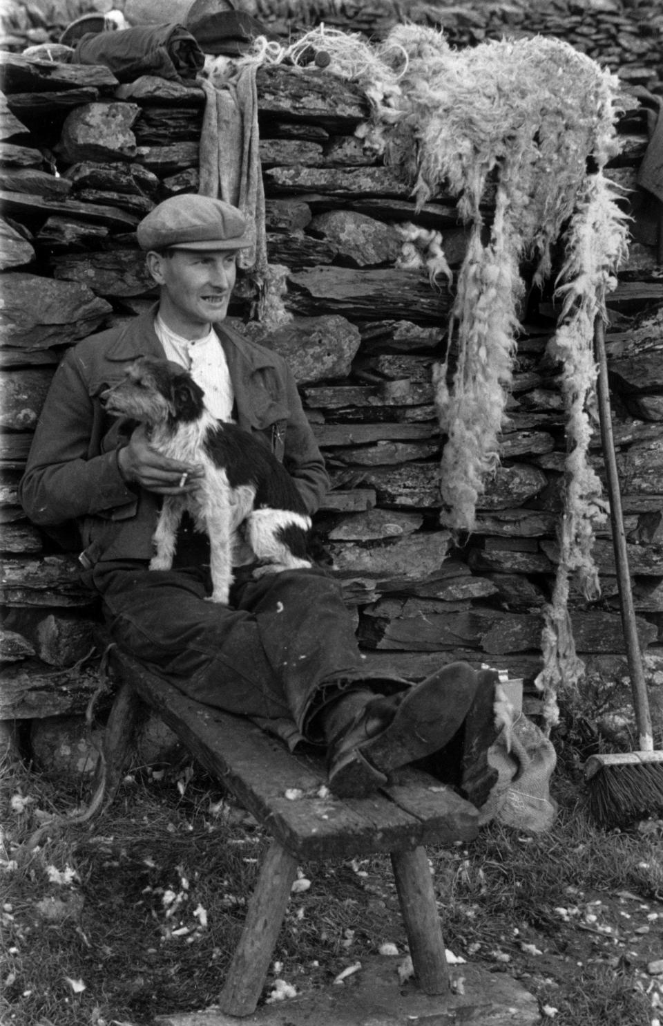 Welsh sheep shearer Pyrs Williams resting with his dog at Hafod-y-Llan in Snowdonia. From ‘Shearing Time In Snowdonia’, published in Picture Post, 1951  - Grace Robertson/Picture Post/Hulton Archive/Getty