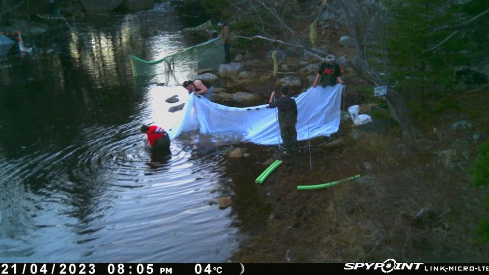 A surveillance camera in Nova Scotia catches alleged elver poaching in 2023. (Atlantic Elver Fishery)