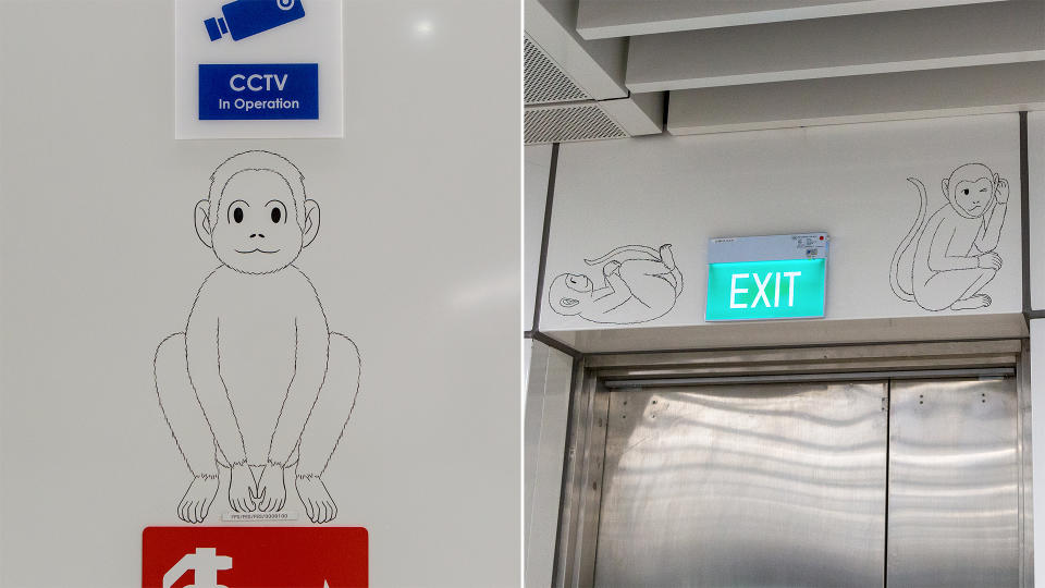 Artist Troy Chin has hidden 88 drawings of animals around the Upper Thomson MRT station. (PHOTO: Dhany Osman / Yahoo News Singapore)