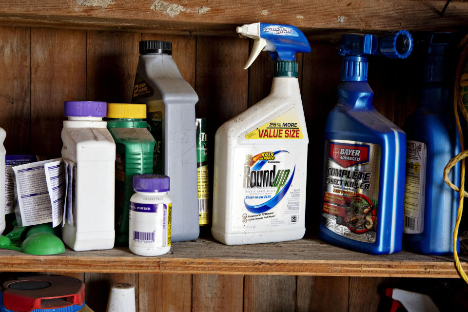 Photo of shelf of weed killers including Roundup, a product a man claimed caused his cancer. 