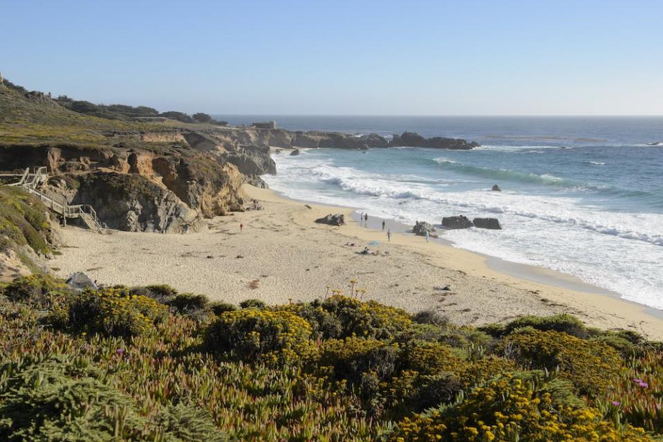 carmel river state beach