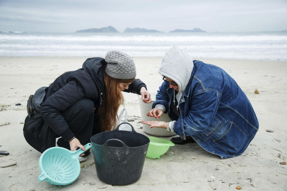 Volunteers collect plastic pellets from a beach in Nigran, Pontevedra, Spain, Tuesday, Jan. 9, 2024. Spanish state prosecutors have opened an investigation into countless tiny plastic pellets washing up on the country's northwest coastline after they were spilled from a transport ship. (AP Photo/Lalo R. Villar)