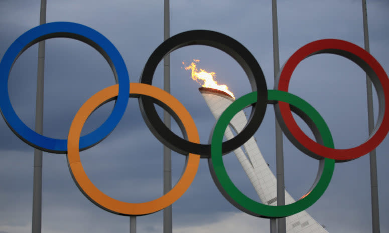 A general photo of the Olympic Rings with the torch in the background.