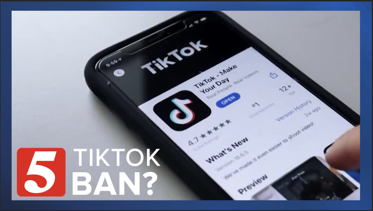 Should TikTok be banned in the US? These users don't think so