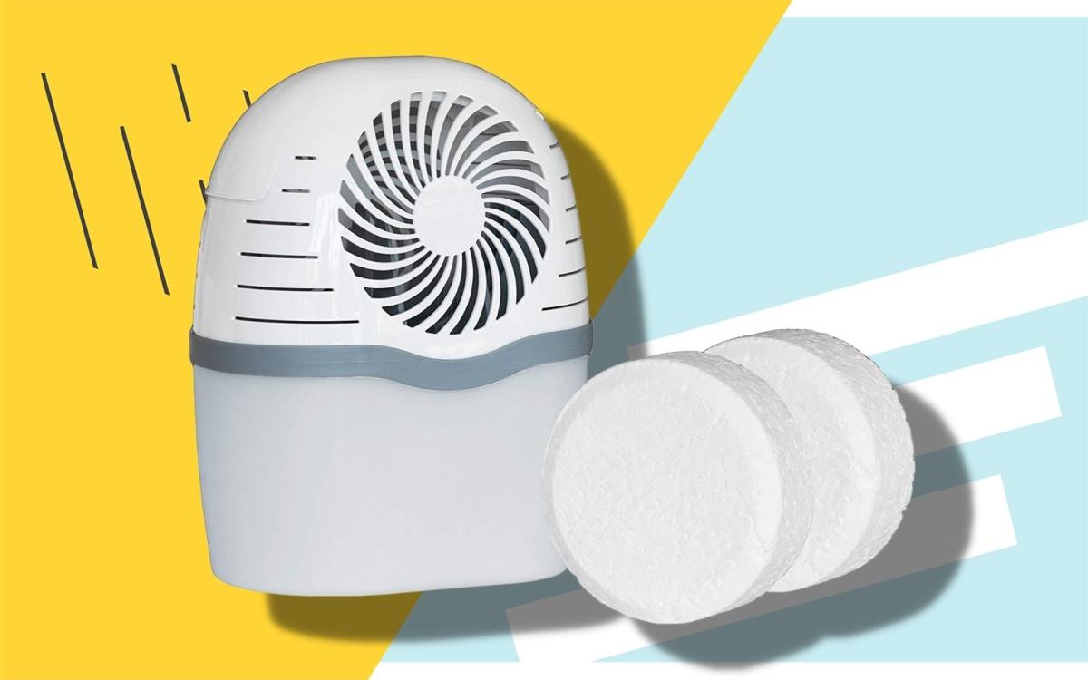 The Best Moisture Absorbers To Prevent Mold, Mildew and Allergens From  Taking Over Your Home